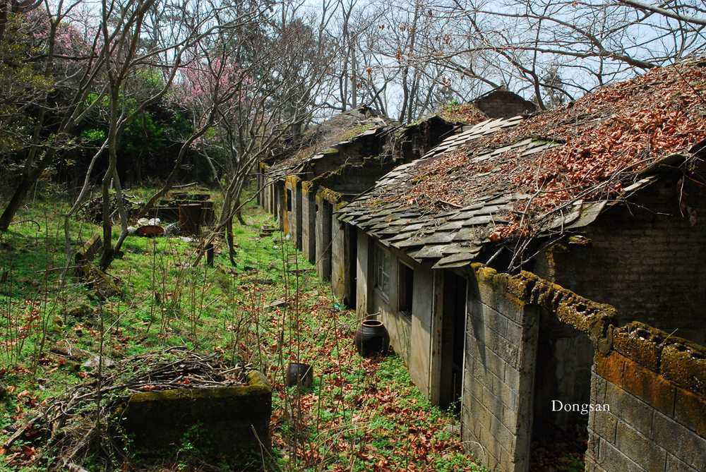 철거된 마을 서생리 빈 주택들
